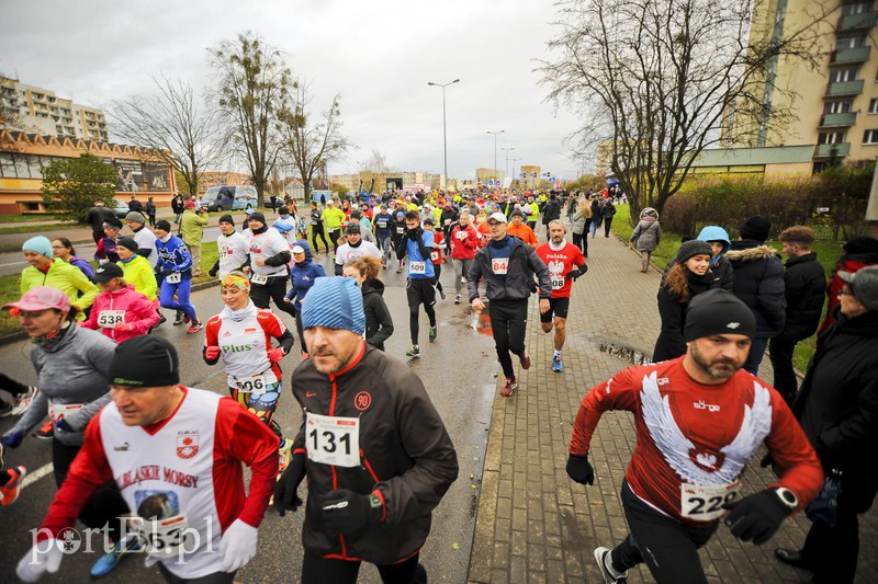 Elblążanie najszybsi w Biegu Niepodległości zdjęcie nr 164390