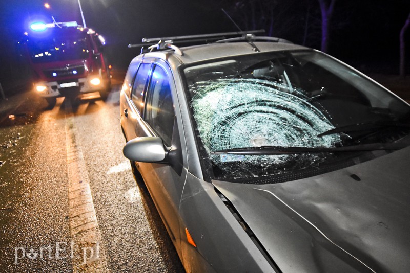 Śmiertelne potrącenie kobiety na trasie S7 zdjęcie nr 164876