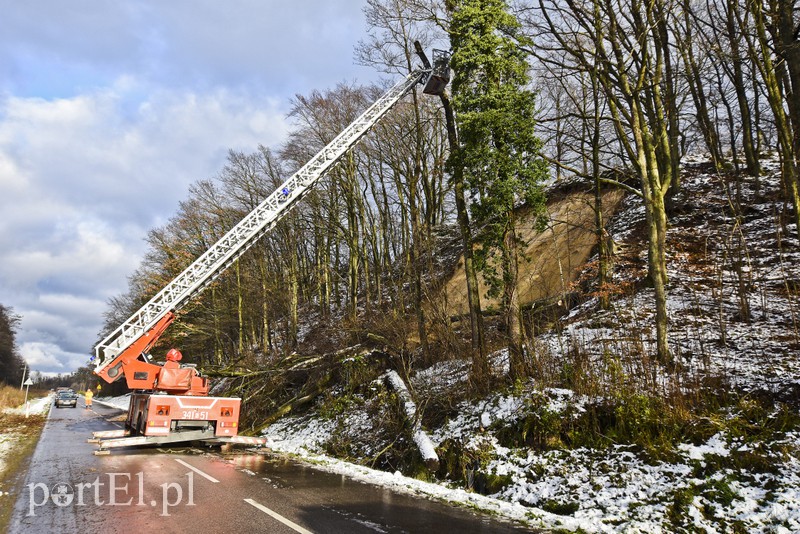 Skarpa z drzewami osunęła się na drogę zdjęcie nr 165570