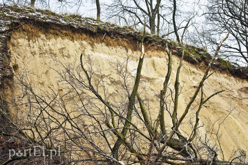 Skarpa z drzewami osunęła się na drogę zdjęcie nr 165577
