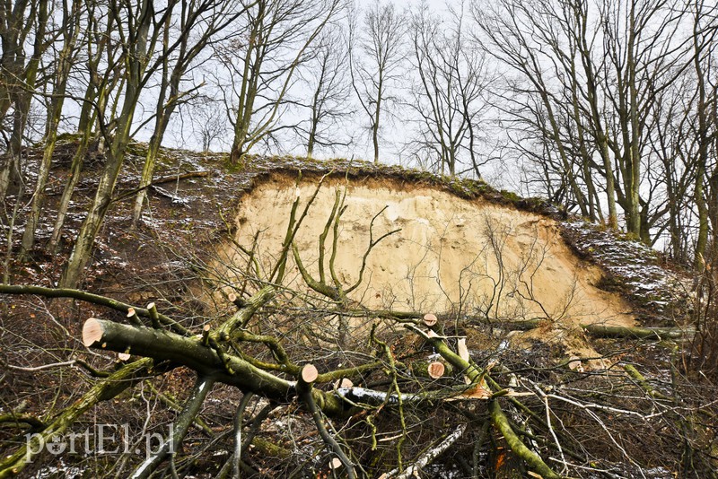 Skarpa z drzewami osunęła się na drogę zdjęcie nr 165576