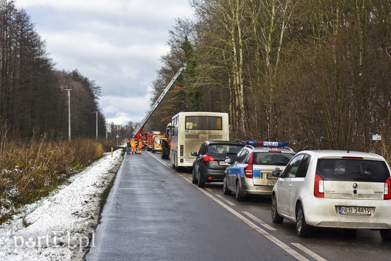 Elbląg Skarpa z drzewami osunęła się na drogę