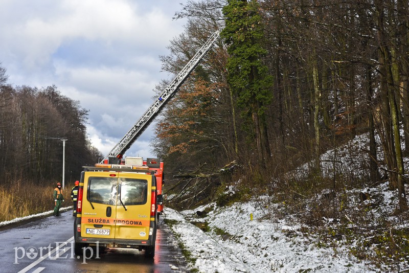 Skarpa z drzewami osunęła się na drogę zdjęcie nr 165566