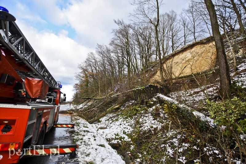 Skarpa z drzewami osunęła się na drogę zdjęcie nr 165581