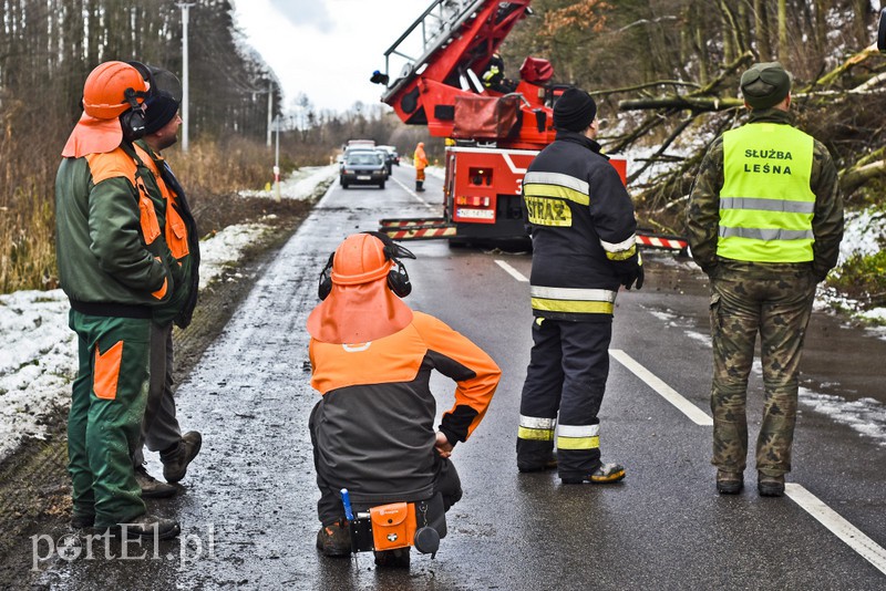 Skarpa z drzewami osunęła się na drogę zdjęcie nr 165573