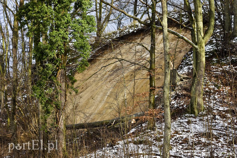 Skarpa z drzewami osunęła się na drogę zdjęcie nr 165568