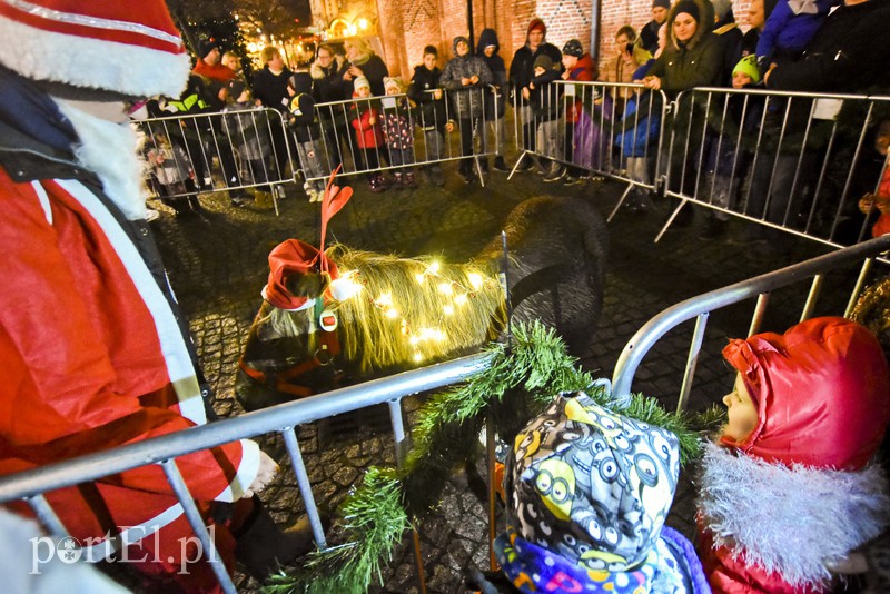 Błysnęła światłem panna zielona zdjęcie nr 165707