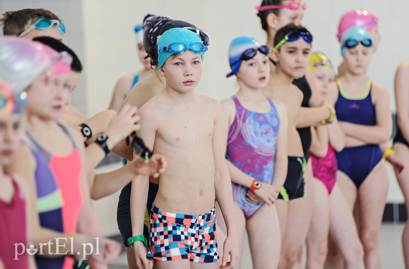 Mikołajkowe zawody pływackie zdjęcie nr 166478