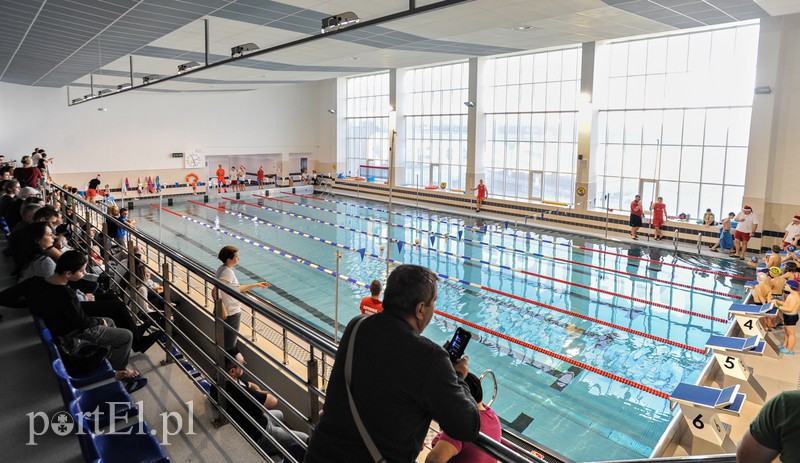 Elbląg Mikołajkowe zawody pływackie