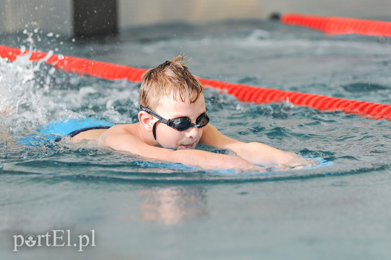 Mikołajkowe zawody pływackie zdjęcie nr 166470