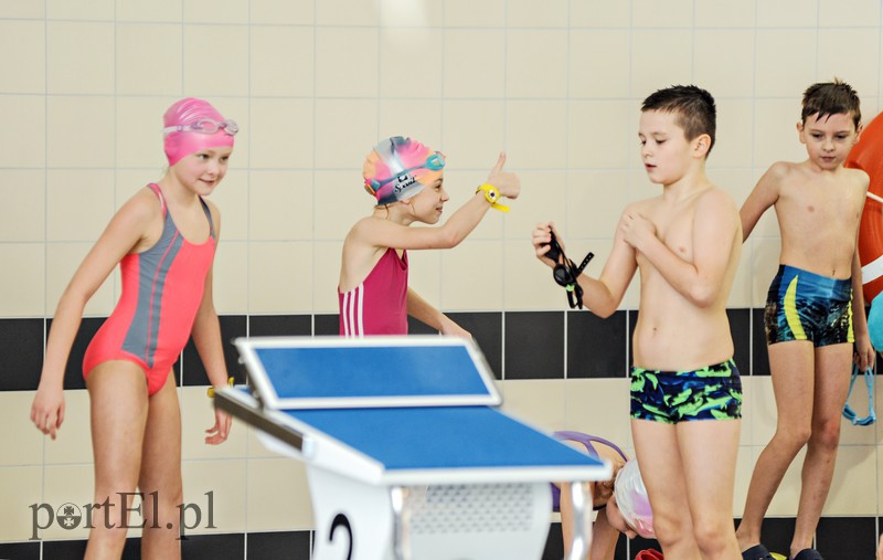 Mikołajkowe zawody pływackie zdjęcie nr 166471