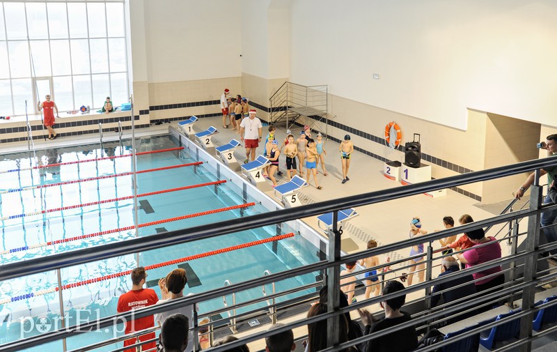 Mikołajkowe zawody pływackie zdjęcie nr 166462