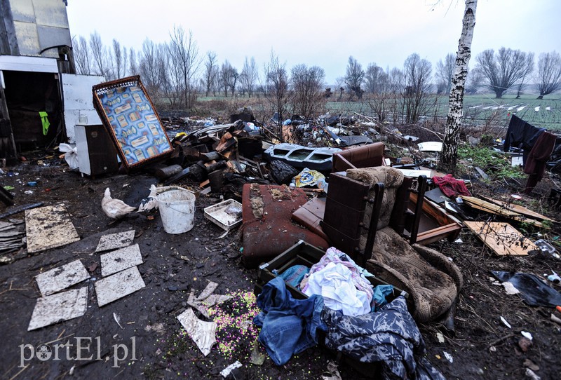 Żółwiniec zdjęcie nr 166826