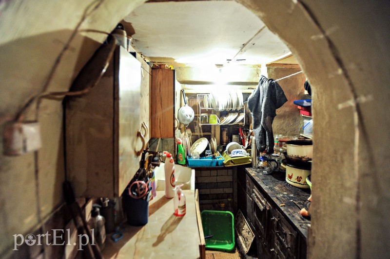 Żółwiniec zdjęcie nr 166833