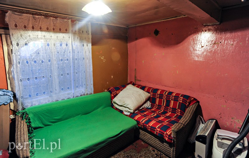 Żółwiniec zdjęcie nr 166832