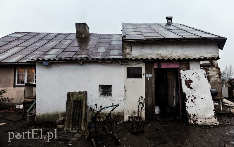 Elbląg Żółwiniec