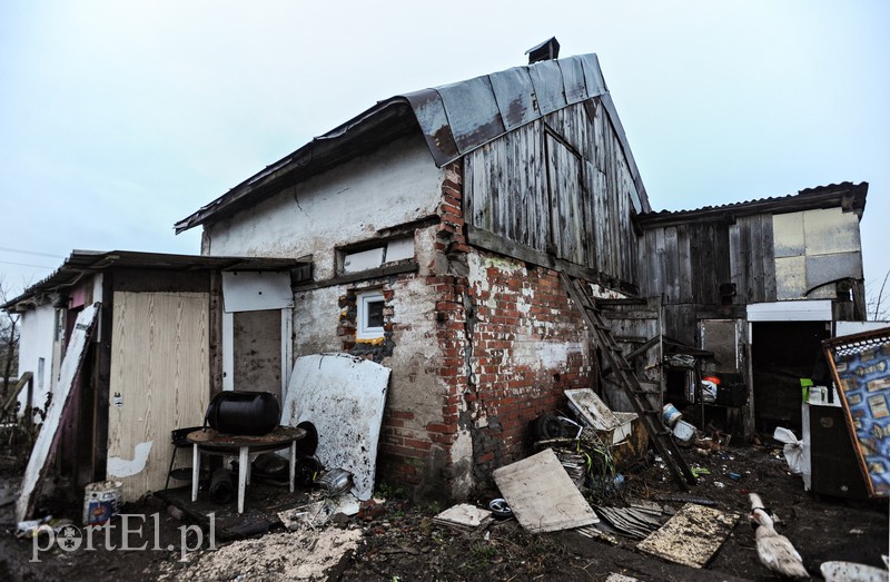 Żółwiniec zdjęcie nr 166827