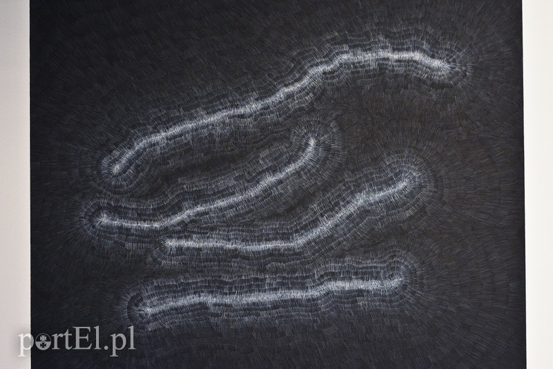 Galeria naznaczona BliSnami zdjęcie nr 170426