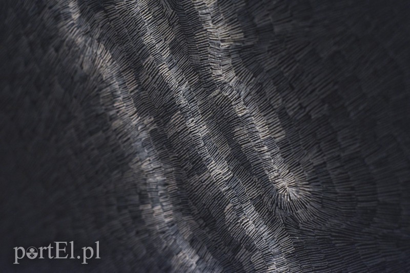 Galeria naznaczona BliSnami zdjęcie nr 170427