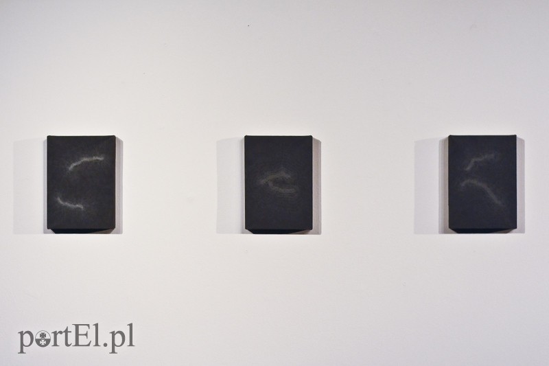 Galeria naznaczona BliSnami zdjęcie nr 170428