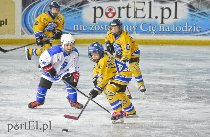 Hokej bezkontaktowy zdjęcie nr 170510