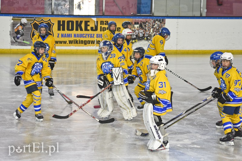 Hokej bezkontaktowy zdjęcie nr 170506