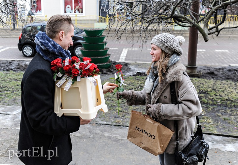 Piękne róże dla pięknych pań! zdjęcie nr 171215