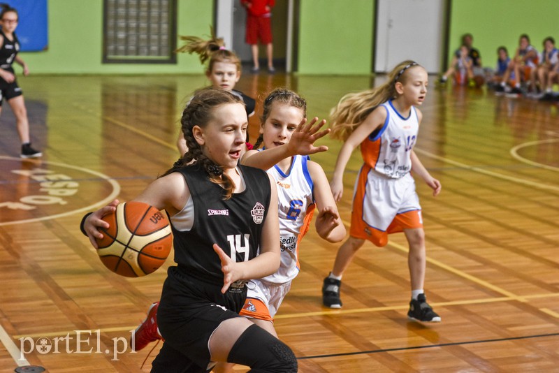  Młodzi koszykarze wyszli na parkiet zdjęcie nr 171575