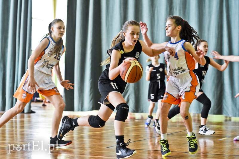  Młodzi koszykarze wyszli na parkiet zdjęcie nr 171595