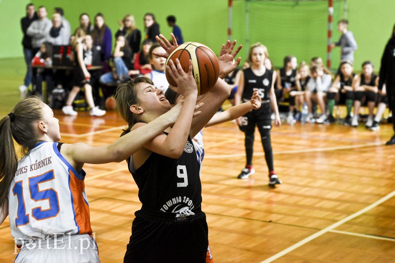  Młodzi koszykarze wyszli na parkiet zdjęcie nr 171568