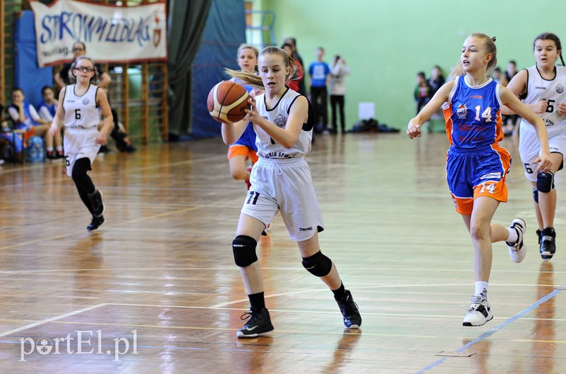 Elbląg Elbasket z sukcesem gospodarzy