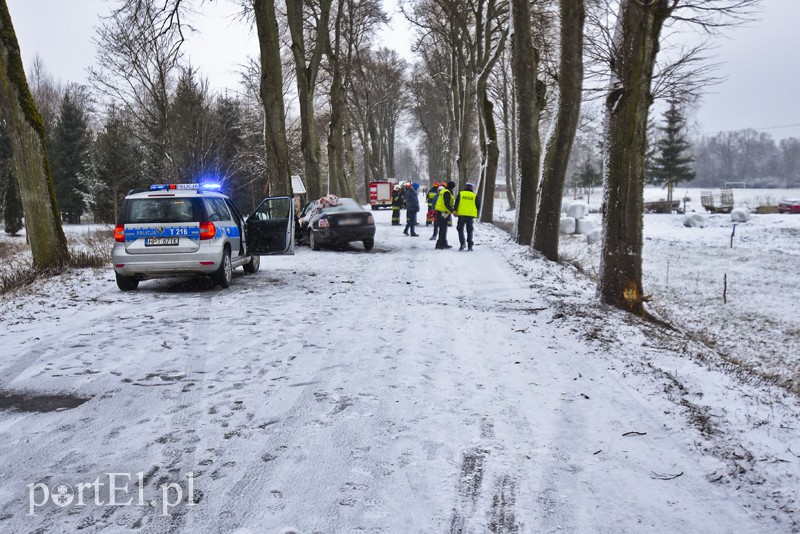 Ślisko na drogach, kobieta uderzyła w drzewo zdjęcie nr 171833