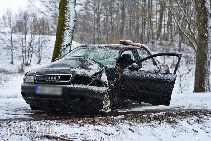 Ślisko na drogach, kobieta uderzyła w drzewo zdjęcie nr 171837
