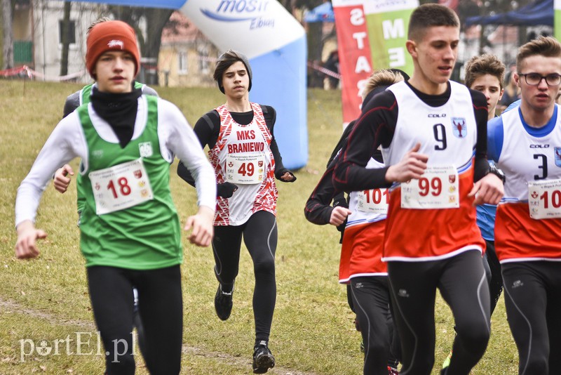 Biegiem po parku Modrzewie zdjęcie nr 171984