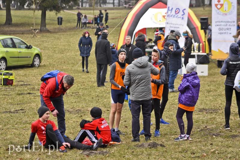 Elbląg Biegiem po parku Modrzewie