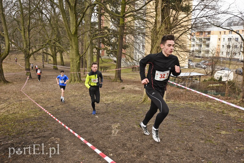 Biegiem po parku Modrzewie zdjęcie nr 172003