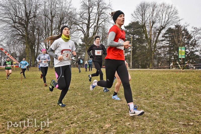 Biegiem po parku Modrzewie zdjęcie nr 171990