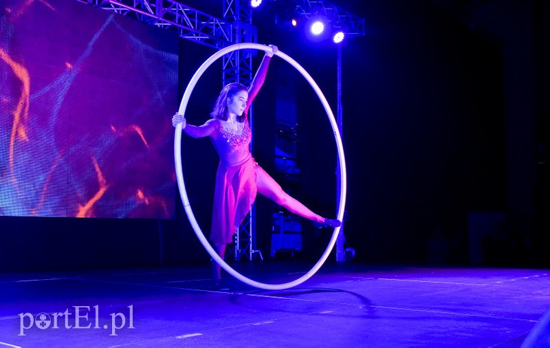 Elbląg Prezydent docenił sportowców