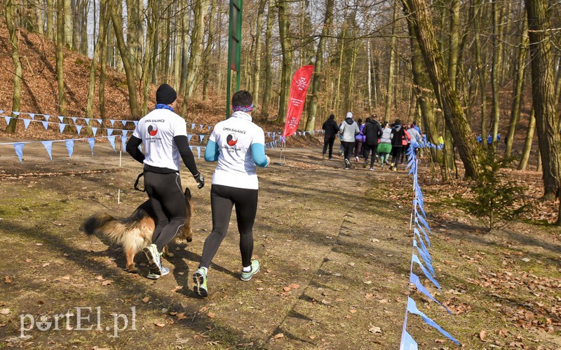 I Elbląski Bieg Wiosny zdjęcie nr 172203