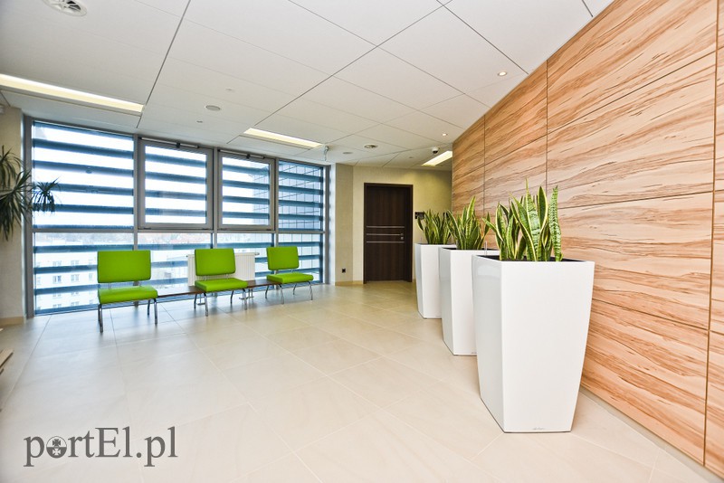 Sąd najwyższy... w kraju zdjęcie nr 172275