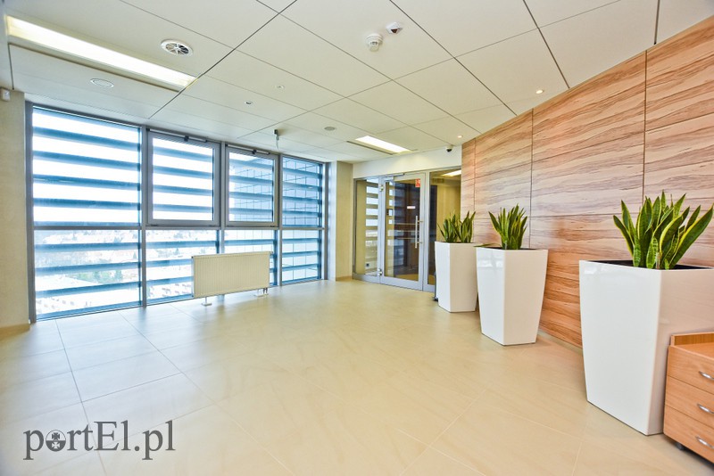 Sąd najwyższy... w kraju zdjęcie nr 172290