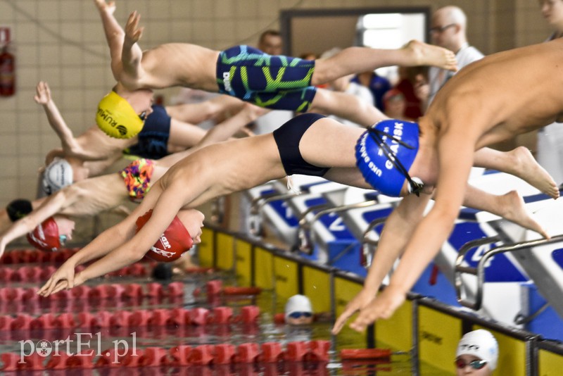 Motylem przez Dolinkę zdjęcie nr 172410