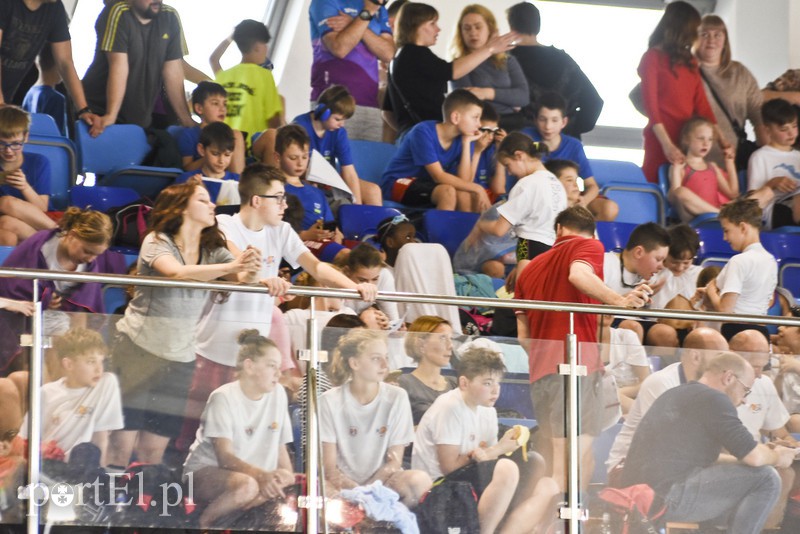 Motylem przez Dolinkę zdjęcie nr 172382