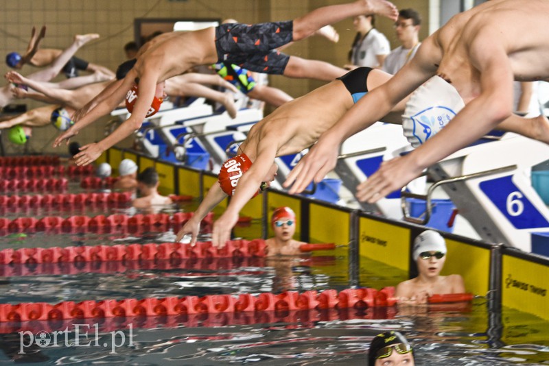 Motylem przez Dolinkę zdjęcie nr 172379