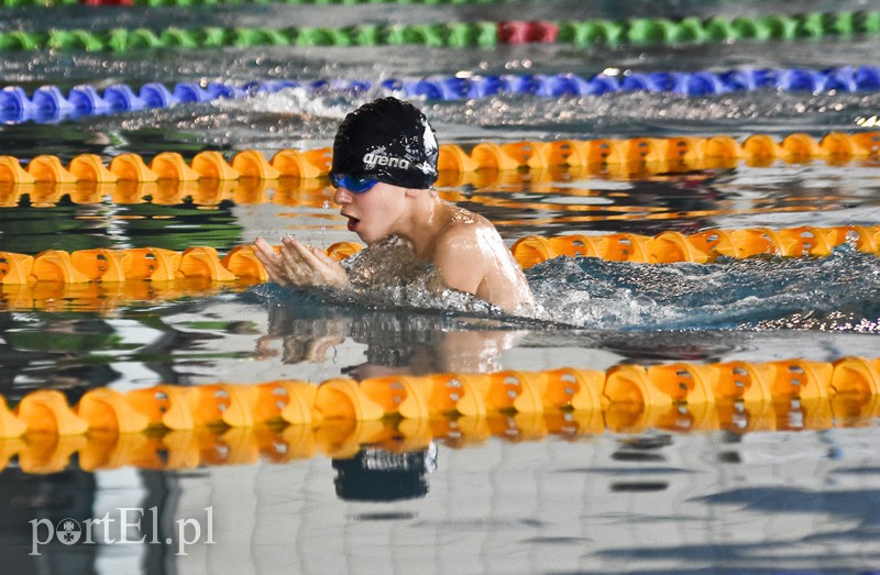 Motylem przez Dolinkę zdjęcie nr 172402