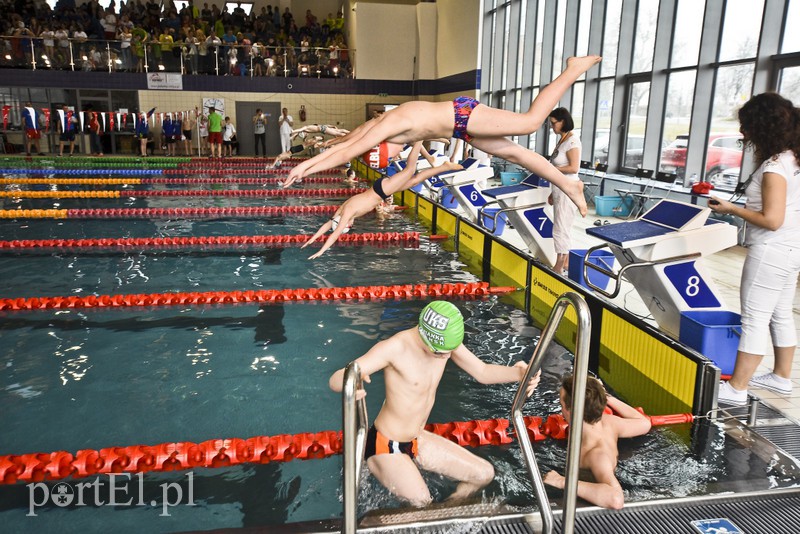 Elbląg Motylem przez Dolinkę