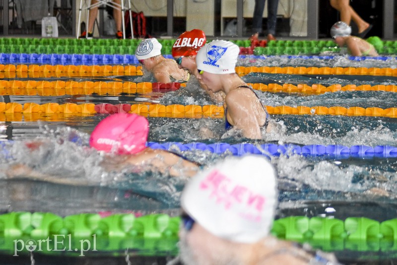 Motylem przez Dolinkę zdjęcie nr 172397