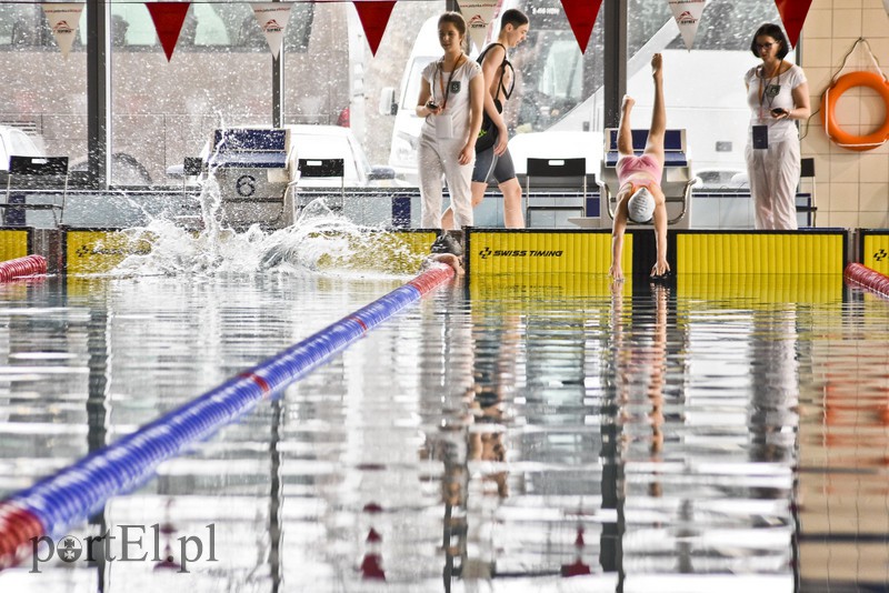 Motylem przez Dolinkę zdjęcie nr 172387