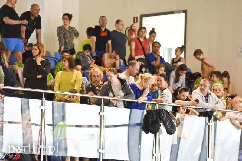 Motylem przez Dolinkę zdjęcie nr 172384