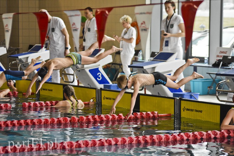 Motylem przez Dolinkę zdjęcie nr 172399